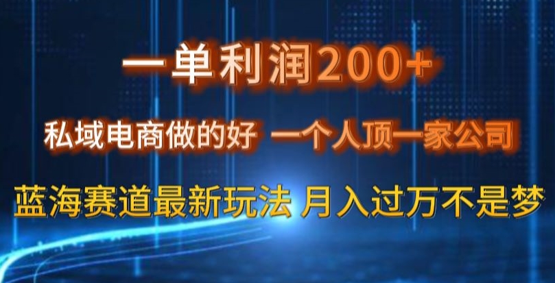 一单利润200私域电商做的好，一个人顶一家公司蓝海赛道最新玩法【揭秘】-婷好网络资源库