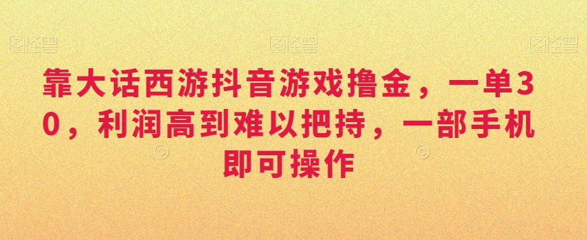 靠大话西游抖音游戏撸金，一单30，利润高到难以把持，一部手机即可操作，日入3000+【揭秘】-婷好网络资源库