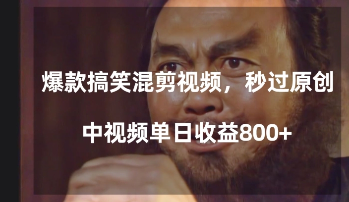 爆款搞笑混剪视频，百分百过原创，单日中视频播放收益800+【揭秘】-婷好网络资源库