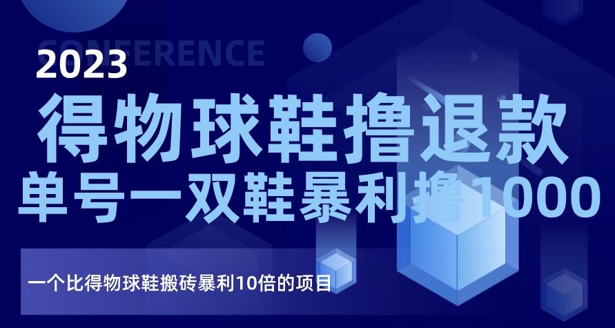 2023得物球鞋撸退款，单号一双鞋暴利撸1000，一个比得物球鞋搬砖暴利10倍的项目【揭秘】-婷好网络资源库