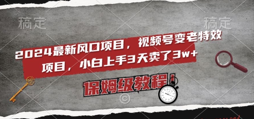 2024最新风口项目，视频号变老特效项目，电脑小白上手3天卖了3w+，保姆级教程【揭秘】-婷好网络资源库