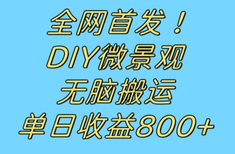 全网首发冷门赛道！DIY微景观，无脑搬运视频，日收益800+【揭秘】-婷好网络资源库