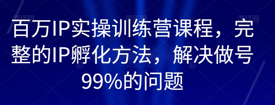 百万IP实操训练营课程，完整的IP孵化方法，解决做号99%的问题-婷好网络资源库