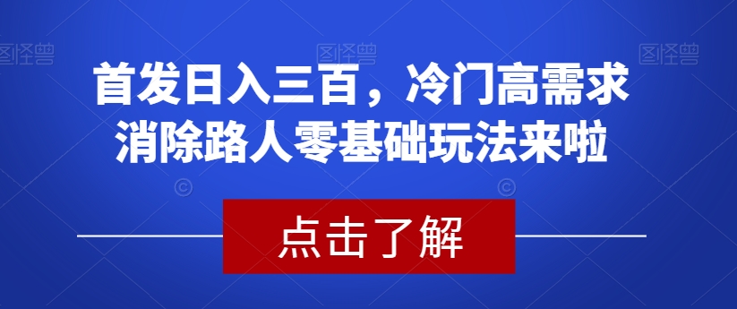 首发日入三百，冷门高需求消除路人零基础玩法来啦【揭秘】-婷好网络资源库