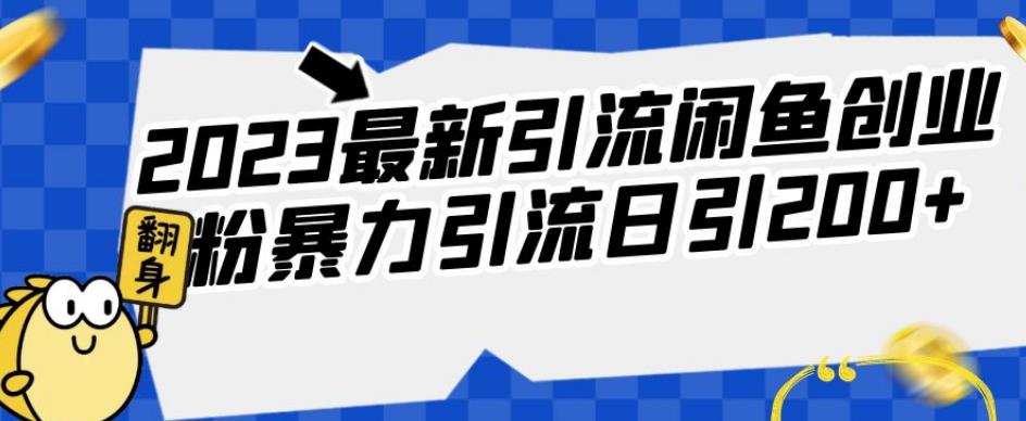 2023最新引流闲鱼创业粉暴力引流日引200+【揭秘】-婷好网络资源库