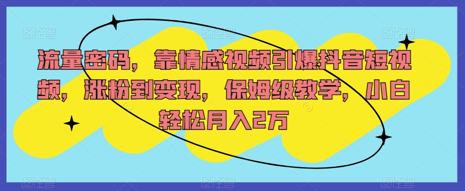 流量密码，靠情感视频引爆抖音短视频，涨粉到变现，保姆级教学，小白轻松月入2万【揭秘】-婷好网络资源库