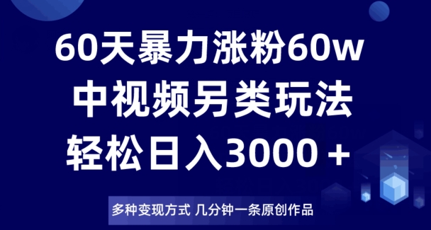 60天暴力涨粉60W，中视频另类玩法，日入3000＋，几分钟一条原创作品多种变现方式-婷好网络资源库