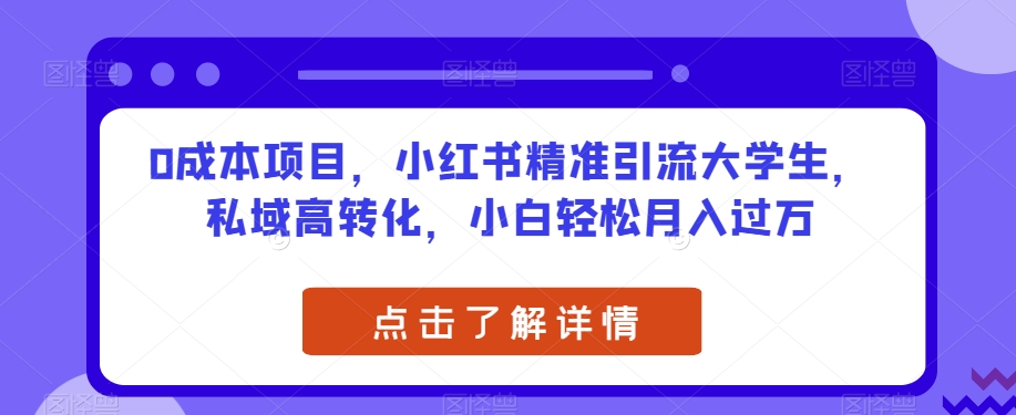 0成本项目，小红书精准引流大学生，私域高转化，小白轻松月入过万【揭秘】-婷好网络资源库