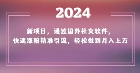 2024新项目，通过国外社交软件，快速涨粉精准引流，轻松做到月入上万【揭秘】-婷好网络资源库