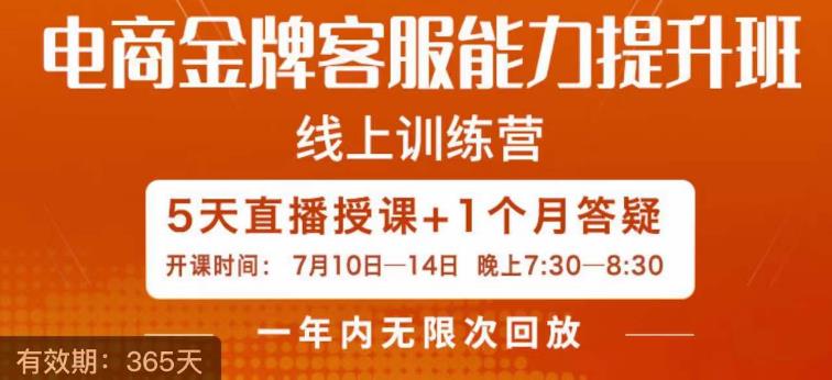 电商金牌客服能力提升班，提升客服能力是你店铺业绩的关键要素-婷好网络资源库