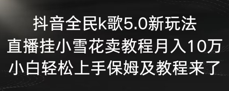 抖音全民k歌5.0新玩法，直播挂小雪花卖教程月入10万，小白轻松上手，保姆及教程来了【揭秘】-婷好网络资源库
