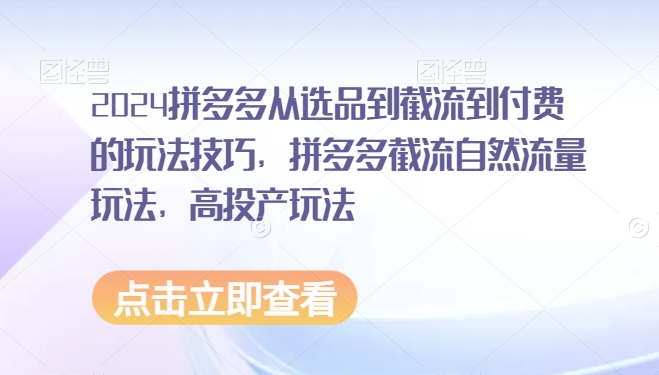 2024拼多多从选品到截流到付费的玩法技巧，拼多多截流自然流量玩法，高投产玩法-婷好网络资源库