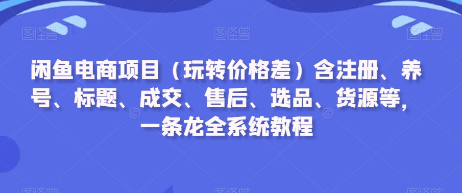 闲鱼电商项目（玩转价格差）含注册、养号、标题、成交、售后、选品、货源等，一条龙全系统教程-婷好网络资源库