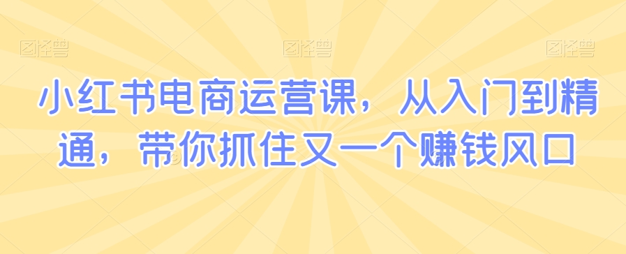 小红书电商运营课，从入门到精通，带你抓住又一个赚钱风口-婷好网络资源库