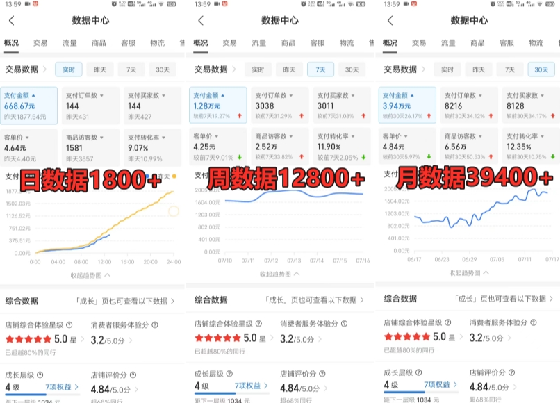 拼多多虚拟电商训练营月入30000+你也行，暴利稳定长久，副业首选-婷好网络资源库