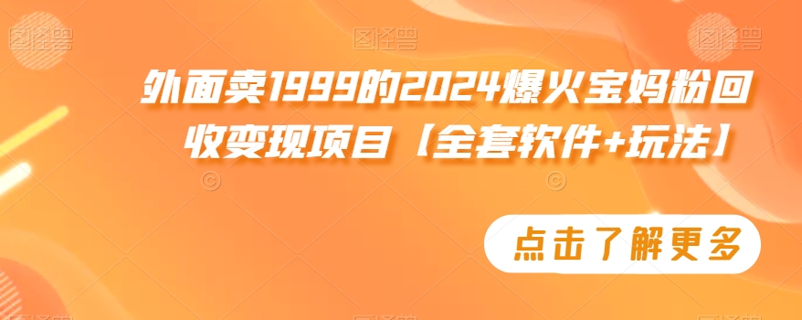 外面卖1999的2024爆火宝妈粉回收变现项目【全套软件+玩法】【揭秘】-婷好网络资源库