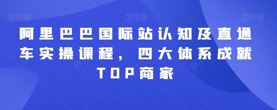 阿里巴巴国际站认知及直通车实操课程，四大体系成就TOP商家-婷好网络资源库