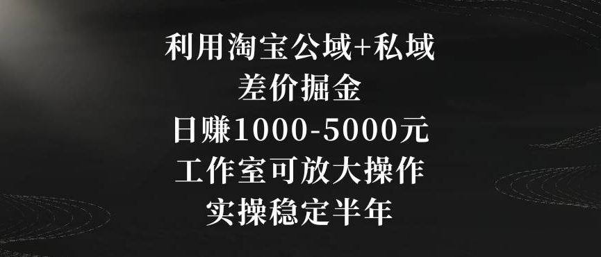 利用淘宝公域+私域差价掘金，日赚1000-5000元，工作室可放大操作，实操稳定半年【揭秘】-婷好网络资源库