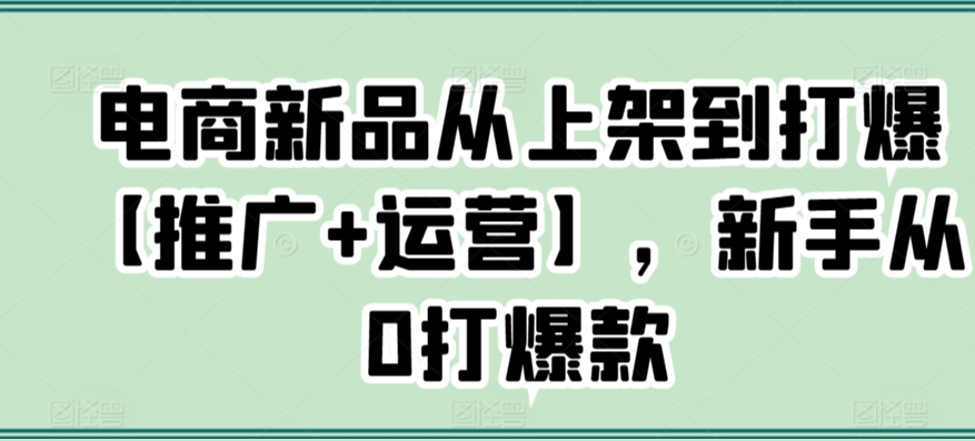 电商新品从上架到打爆【推广+运营】，新手从0打爆款-婷好网络资源库