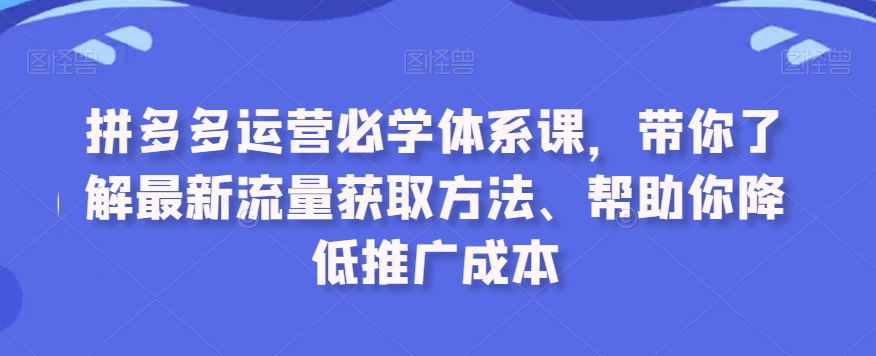 拼多多运营必学体系课，带你了解最新流量获取方法、帮助你降低推广成本-婷好网络资源库