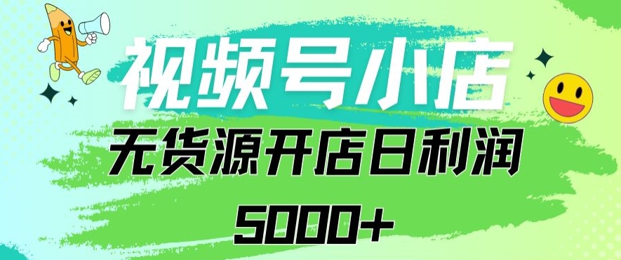 视频号无货源小店从0到1日订单量千单以上纯利润稳稳5000+【揭秘】-婷好网络资源库