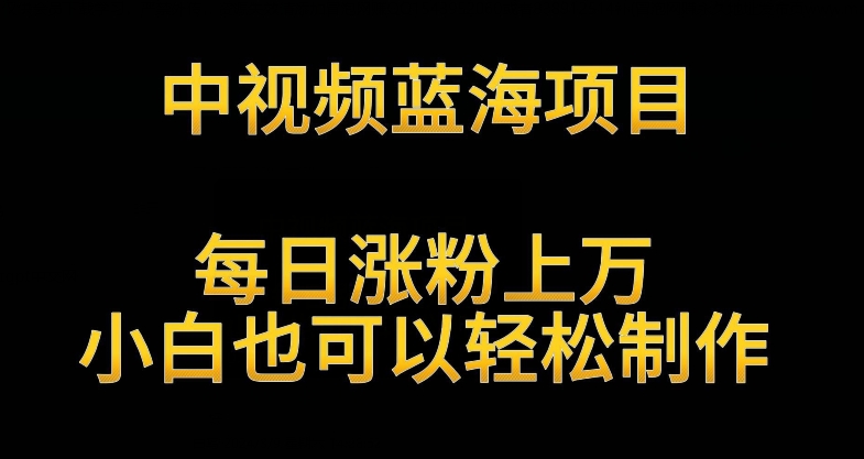 中视频蓝海项目，解读英雄人物生平，每日涨粉上万，小白也可以轻松制作，月入过万不是梦【揭秘】-婷好网络资源库