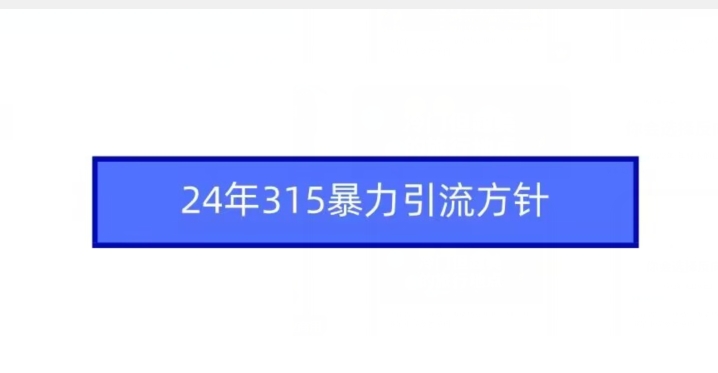 24年315暴力引流方针-婷好网络资源库