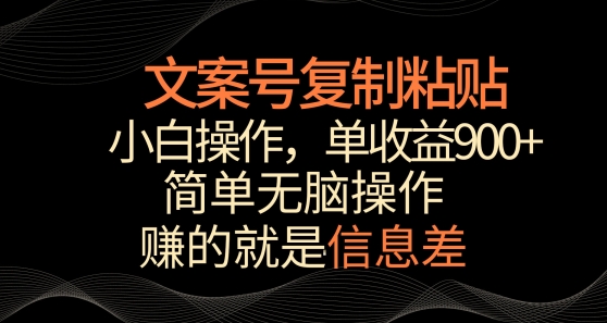 文案号掘金，简单复制粘贴，小白操作，单作品收益900+【揭秘】-婷好网络资源库