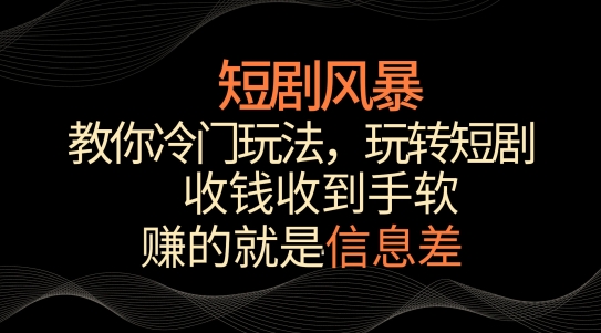 短剧风暴，教你冷门玩法，玩转短剧，收钱收到手软【揭秘】-婷好网络资源库