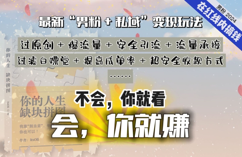 2024，“男粉+私域”还是最耐造、最赚、最轻松、最愉快的变现方式【揭秘】-婷好网络资源库