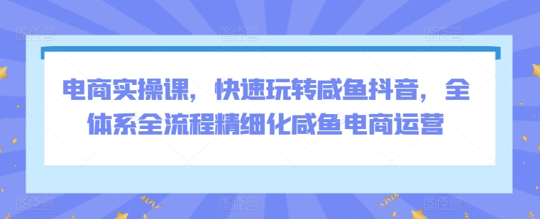 电商实操课，快速玩转咸鱼抖音，全体系全流程精细化咸鱼电商运营-婷好网络资源库