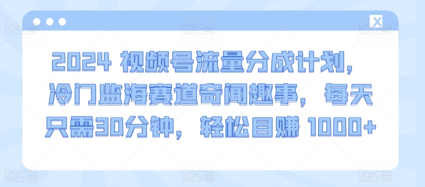 2024视频号流量分成计划，冷门监海赛道奇闻趣事，每天只需30分钟，轻松目赚 1000+【揭秘】-婷好网络资源库