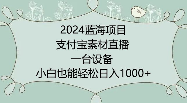 2024年蓝海项目，支付宝素材直播，无需出境，小白也能日入1000+ ，实操教程【揭秘】-婷好网络资源库