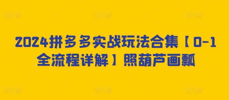 2024拼多多实战玩法合集【0-1全流程详解】照葫芦画瓢-婷好网络资源库