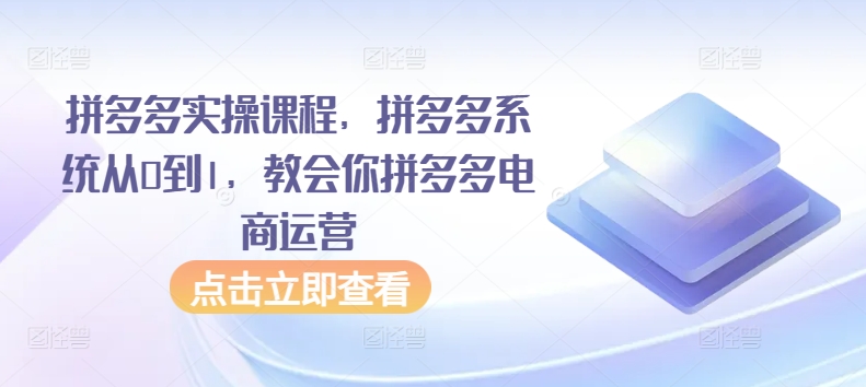 拼多多实操课程，拼多多系统从0到1，教会你拼多多电商运营-婷好网络资源库