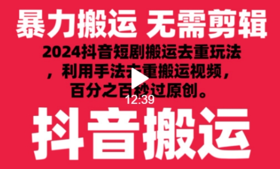 2024最新抖音搬运技术，抖音短剧视频去重，手法搬运，利用工具去重，达到秒过原创的效果【揭秘】-婷好网络资源库