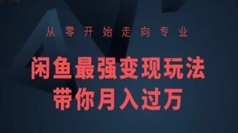 从零开始走向专业，闲鱼最强变现玩法带你月入过万-婷好网络资源库