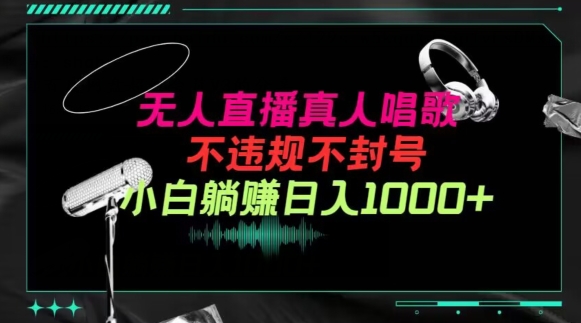 抖音24小时无人直播音乐，不违规，不封号纯撸音浪，小白实操当天日入1000+【揭秘】-婷好网络资源库