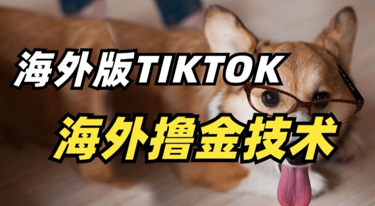 抖音海外版tiktok撸金技术，这个风口行业，赚钱真的不难【揭秘】-婷好网络资源库