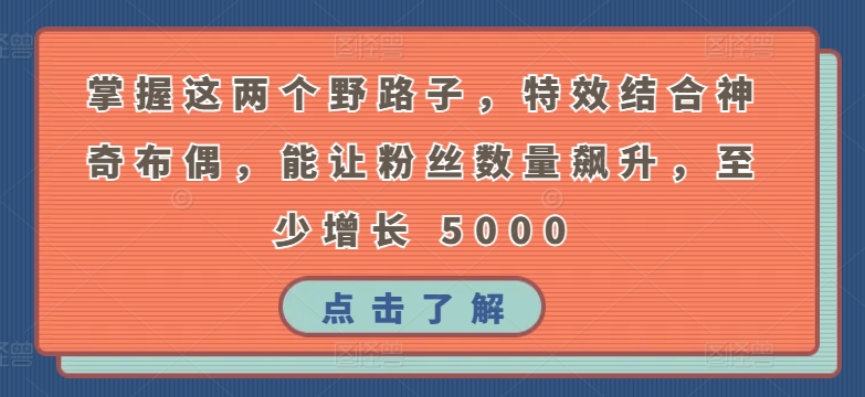 掌握这两个野路子，特效结合神奇布偶，能让粉丝数量飙升，至少增长 5000【揭秘】-婷好网络资源库