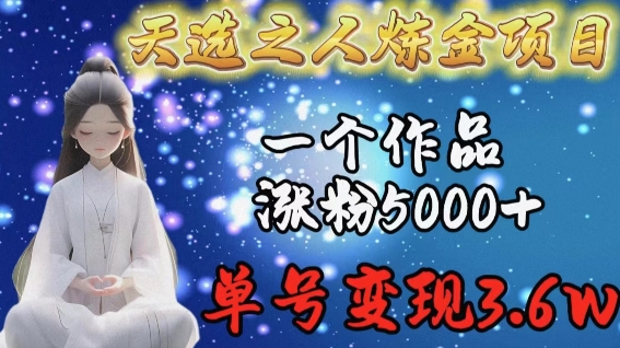 天选之人炼金项目，一个作品涨粉5000+，单号变现3.6w【揭秘】-婷好网络资源库