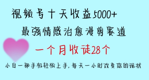 十天收益5000+，多平台捞金，视频号情感治愈漫剪，一个月收徒28个，小白一部手机轻松上手【揭秘】-婷好网络资源库