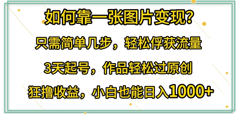 如何靠一张图片变现?只需简单几步，轻松俘获流量，3天起号，作品轻松过原创【揭秘】-婷好网络资源库