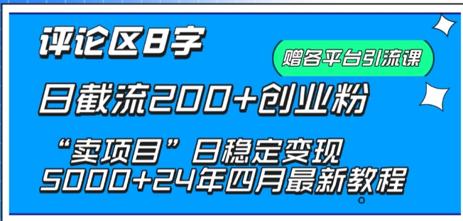 抖音评论区8字日截流200+创业粉 “卖项目”日稳定变现5000+【揭秘】-婷好网络资源库