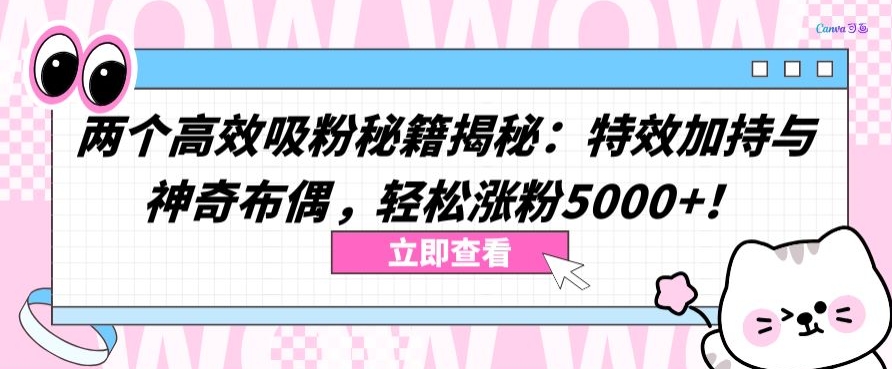 两个高效吸粉秘籍揭秘：特效加持与神奇布偶，轻松涨粉5000+【揭秘】-婷好网络资源库