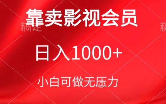 靠卖影视会员，日入1000+，落地保姆级教程，新手可学【揭秘】-婷好网络资源库