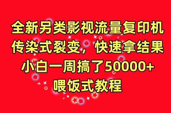 全新另类影视流量复印机，传染式裂变，快速拿结果，小白一周搞了50000+，喂饭式教程【揭秘】-婷好网络资源库