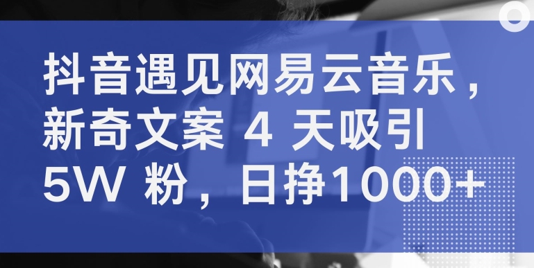 抖音遇见网易云音乐，新奇文案 4 天吸引 5W 粉，日挣1000+【揭秘】-婷好网络资源库