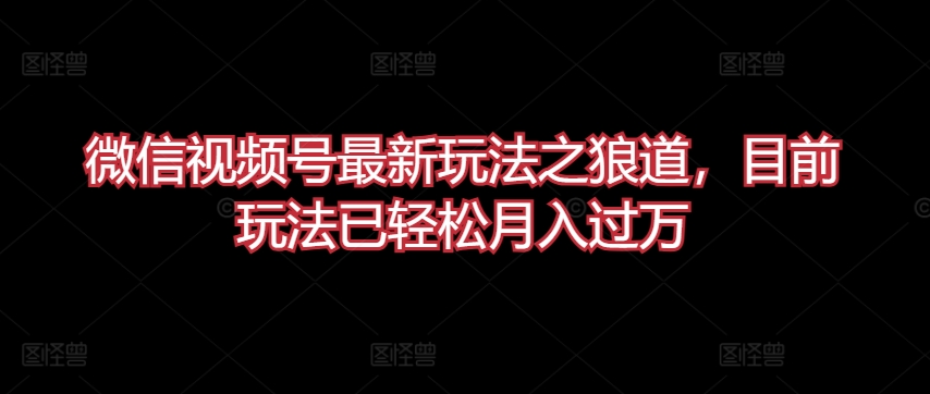 微信视频号最新玩法之狼道，目前玩法已轻松月入过万【揭秘】-婷好网络资源库