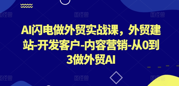 AI闪电做外贸实战课，​外贸建站-开发客户-内容营销-从0到3做外贸AI-婷好网络资源库